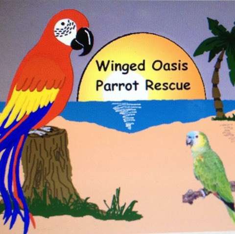 Winged Oasis Parrot Rescue